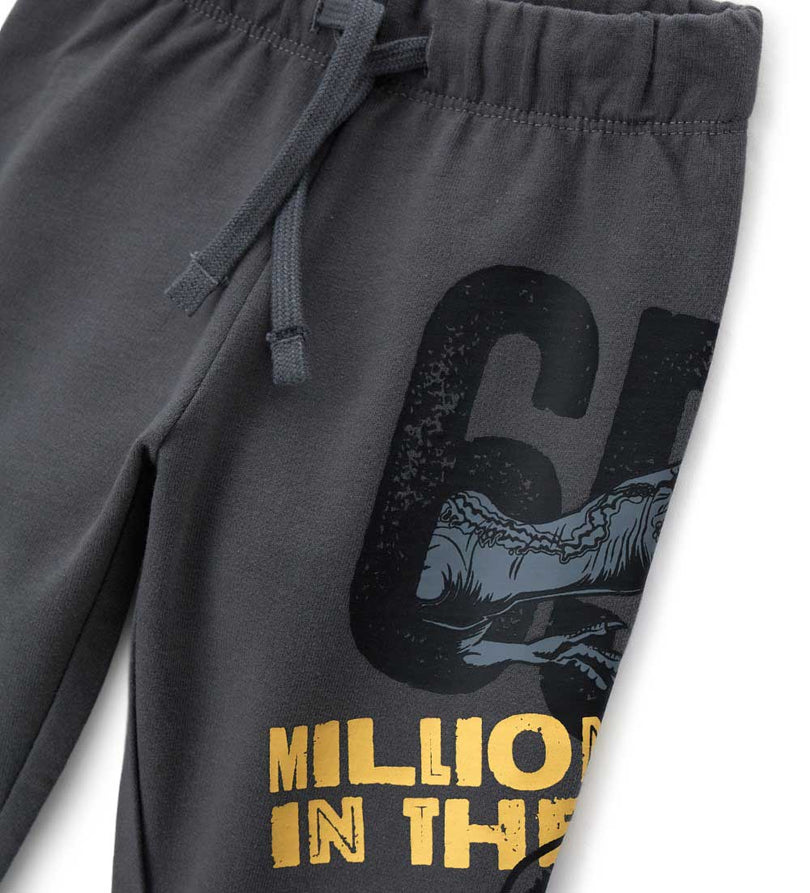 Boy - Jurassic World Pants 18 - 24 M Grey