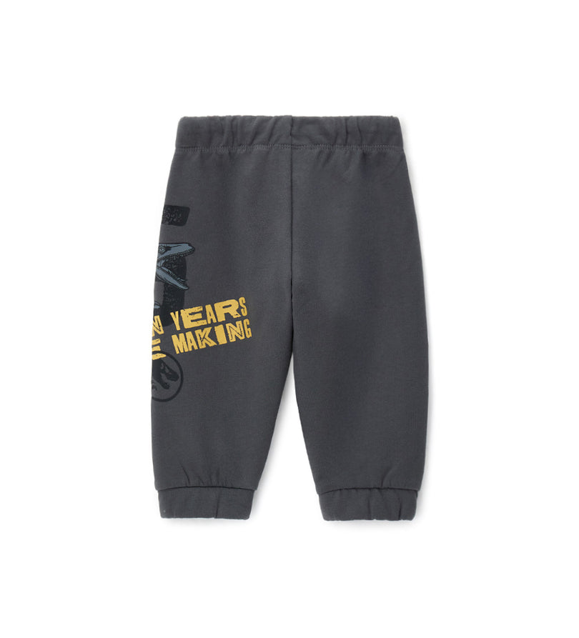 Boy - Jurassic World Pants 18 - 24 M Grey