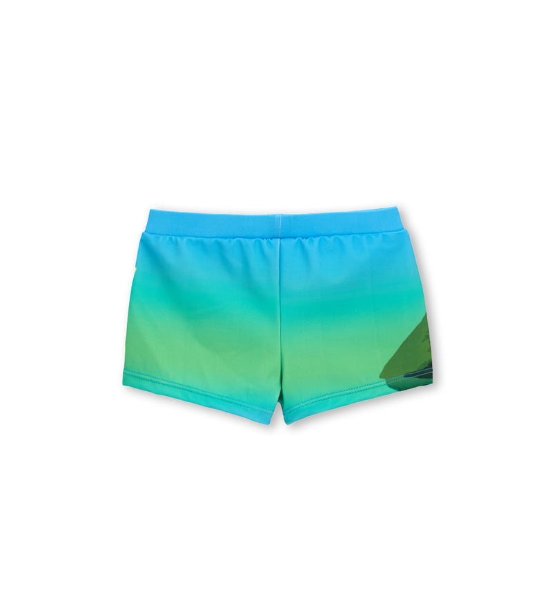 Boy - Jurassic World Swim Shorts 9 - 12 M Blue
