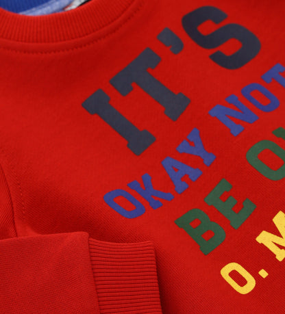 BABY BOY'S SWEATSHIRT-646